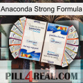 Anaconda Strong Formula kamagra1